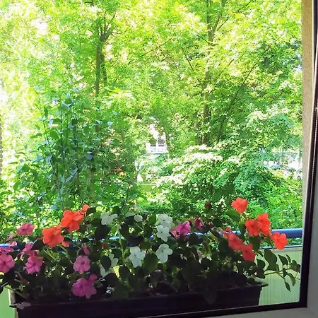 Global Trip Stadion Zimowy *