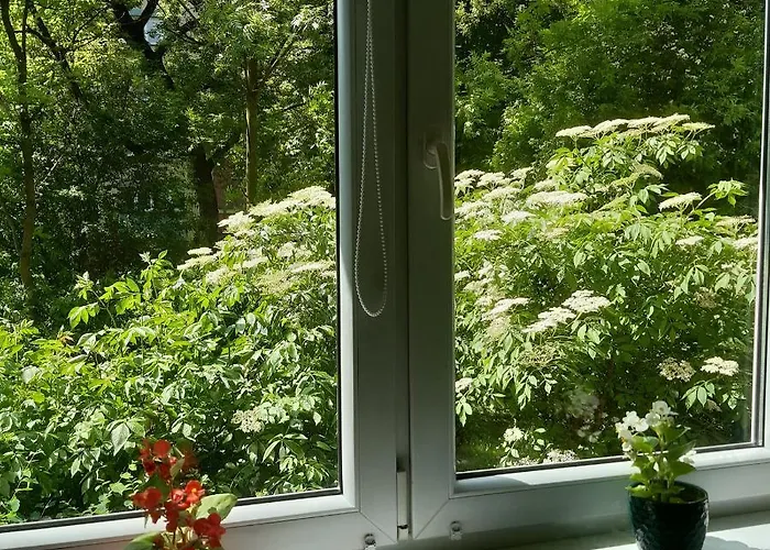 Global Trip Stadion Zimowy *