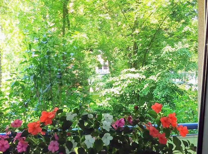 Global Trip Stadion Zimowy *